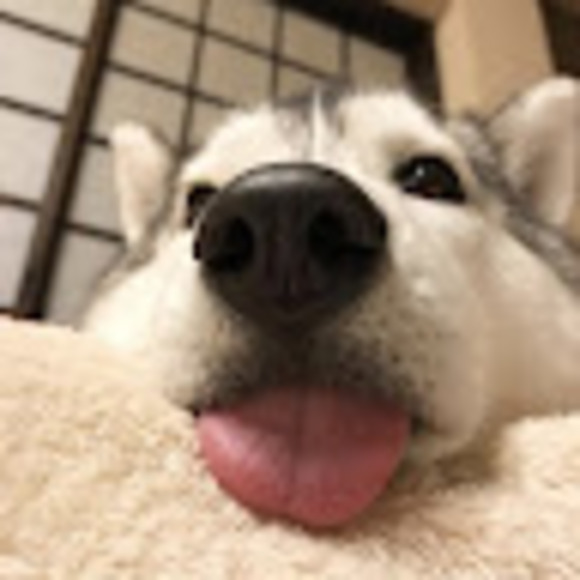 wistfuldream03